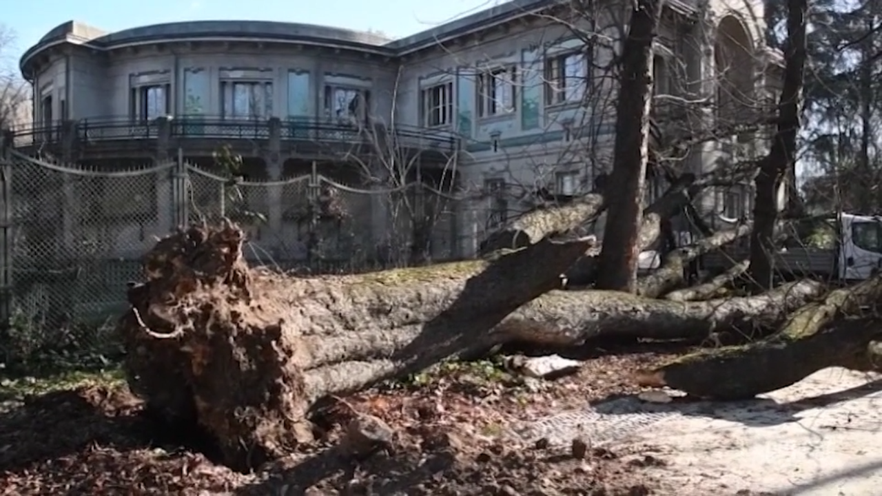 Milano Raffiche Di Vento Fino A Km H Diversi Alberi Caduti In Citt