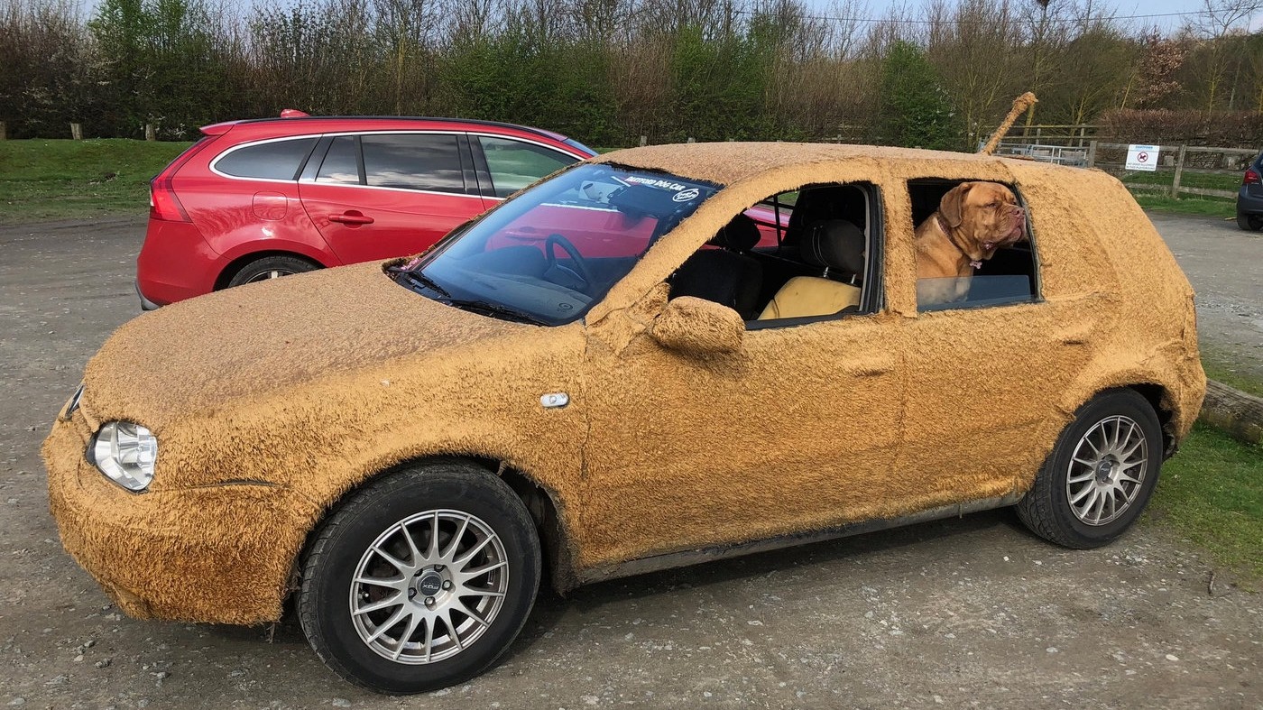 L’auto è coperta di pelo: ecco cosa ha fatto Justin per i suoi cani