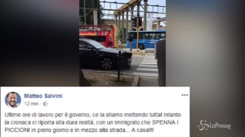 Salvini, su Facebook spunta il video del piccione spennato