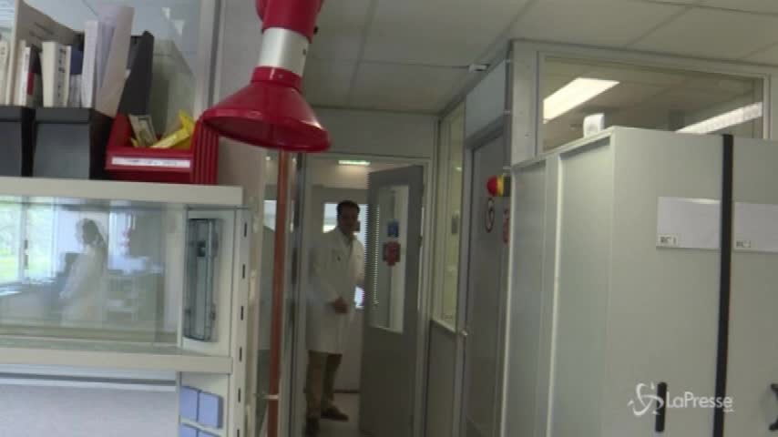 Usa, scoperto test che individua il cancro