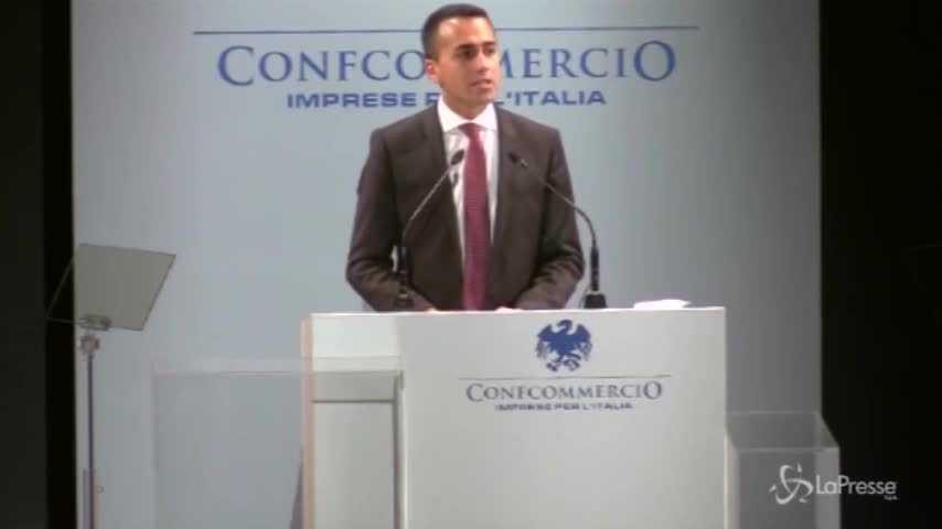 Fisco, Di Maio : “Siete tutti onesti fino a prova contraria”