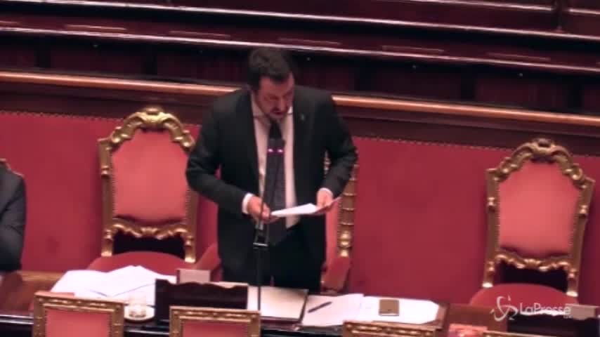 Protesta in Senato su Aquarius, Salvini: “Non mi dà fastidio Macron, figuriamoci i cartelli”