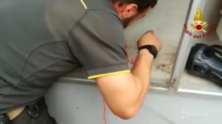 Gattini intrappolati nei tubi: cordicelle e inventiva per salvarli