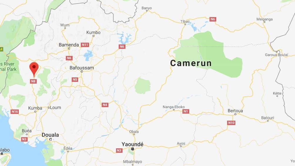 Camerun, rilasciati 12 turisti presi ostaggio: anche 5 italiani