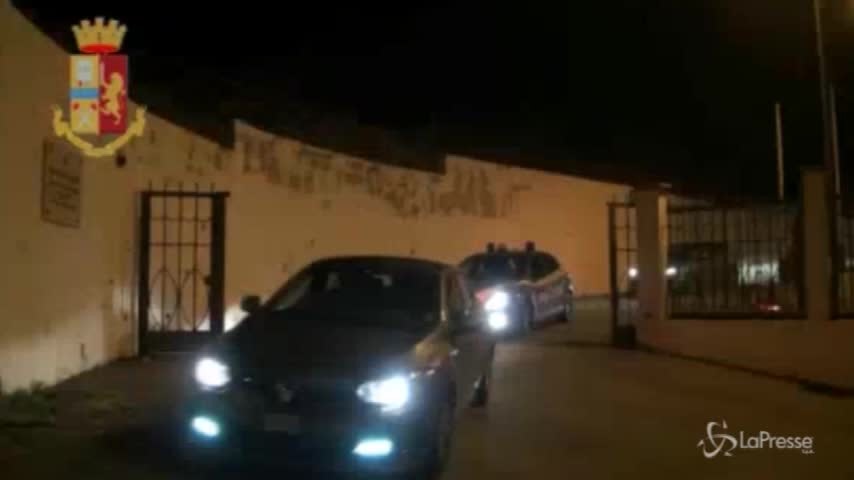 ‘Ndrangheta, operazione “Happy Dog”: anche i canili nella morsa delle cosche