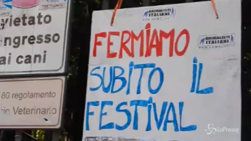 Cani e gatti uccisi allo Yulin Festival, la protesta degli animalisti