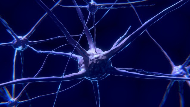 Nuova luce sull’origine della schizofrenia: lo studio italiano