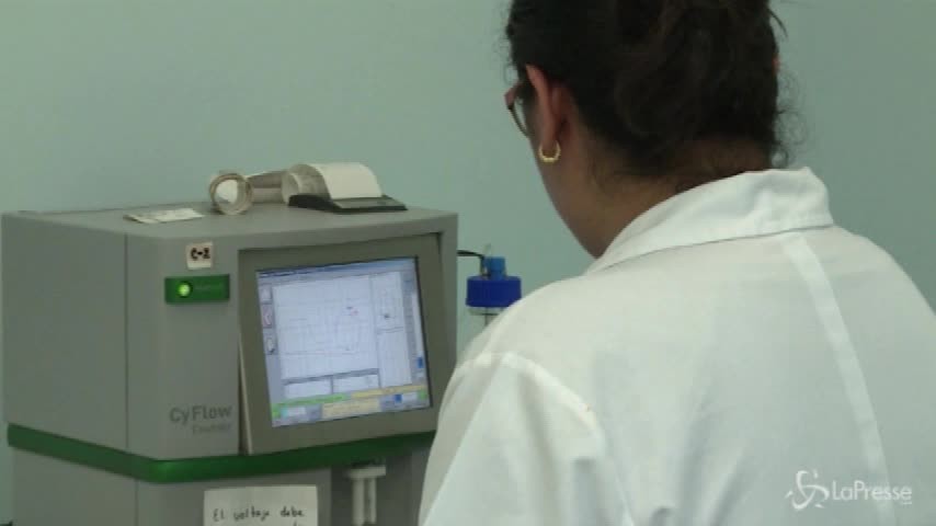 Il Comune di Torino scrive ai genitori No Vax