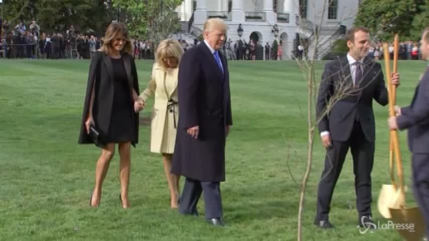 Trump e Macron piantano una quercia nel giardino della Casa Bianca