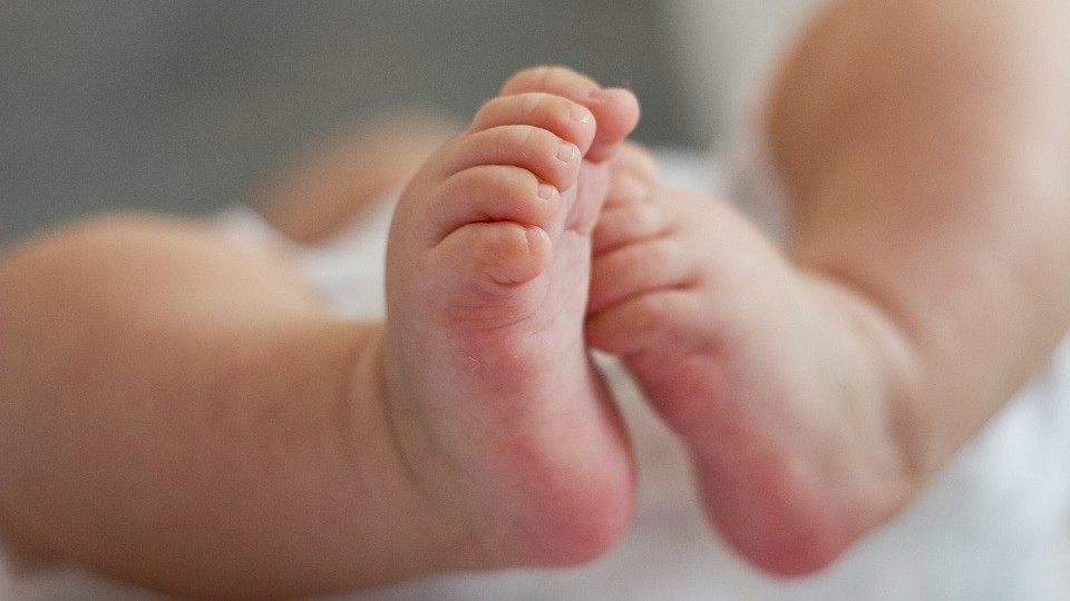 Con dieta vegana in gravidanza rischi danni neurologici al feto
