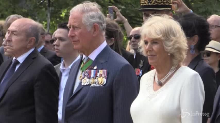 Carlo e Camilla a Lione per una cerimonia ufficiale