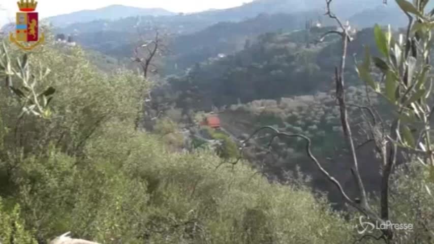 Imperia, traffico di droga: 4 arresti