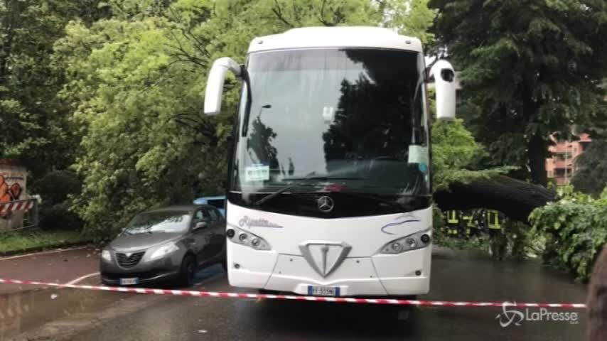 Firenze, albero cade su un bus di turisti: 14 feriti