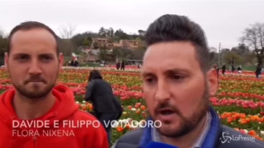 Roma, distrutto in due giorni il Parco dei Tulipani