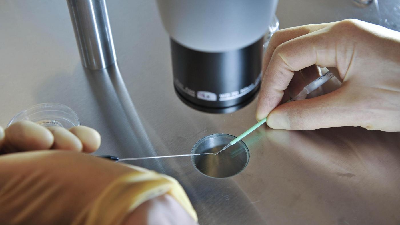 Dall’università di Trento l’arma di precisione contro il Dna malato