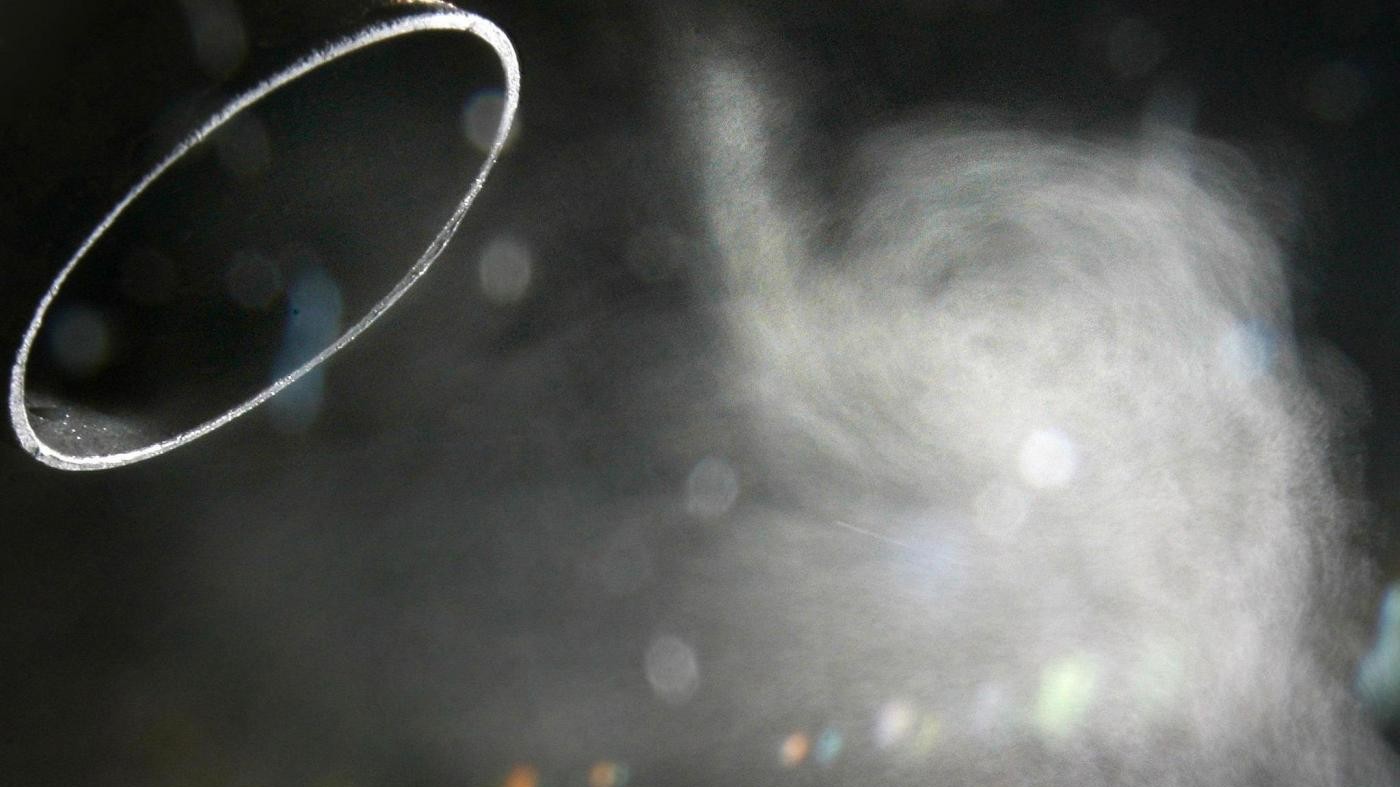 Bild: “Devastanti i risultati test gas diesel Volkswagen su scimmie”