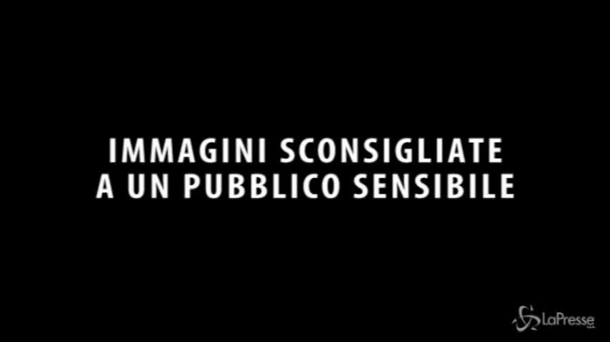Cecchino israeliano colpisce palestinese ed esulta