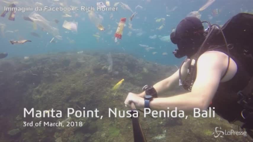 Bali, l’oceano è una discarica: il sub nuota tra la plastica