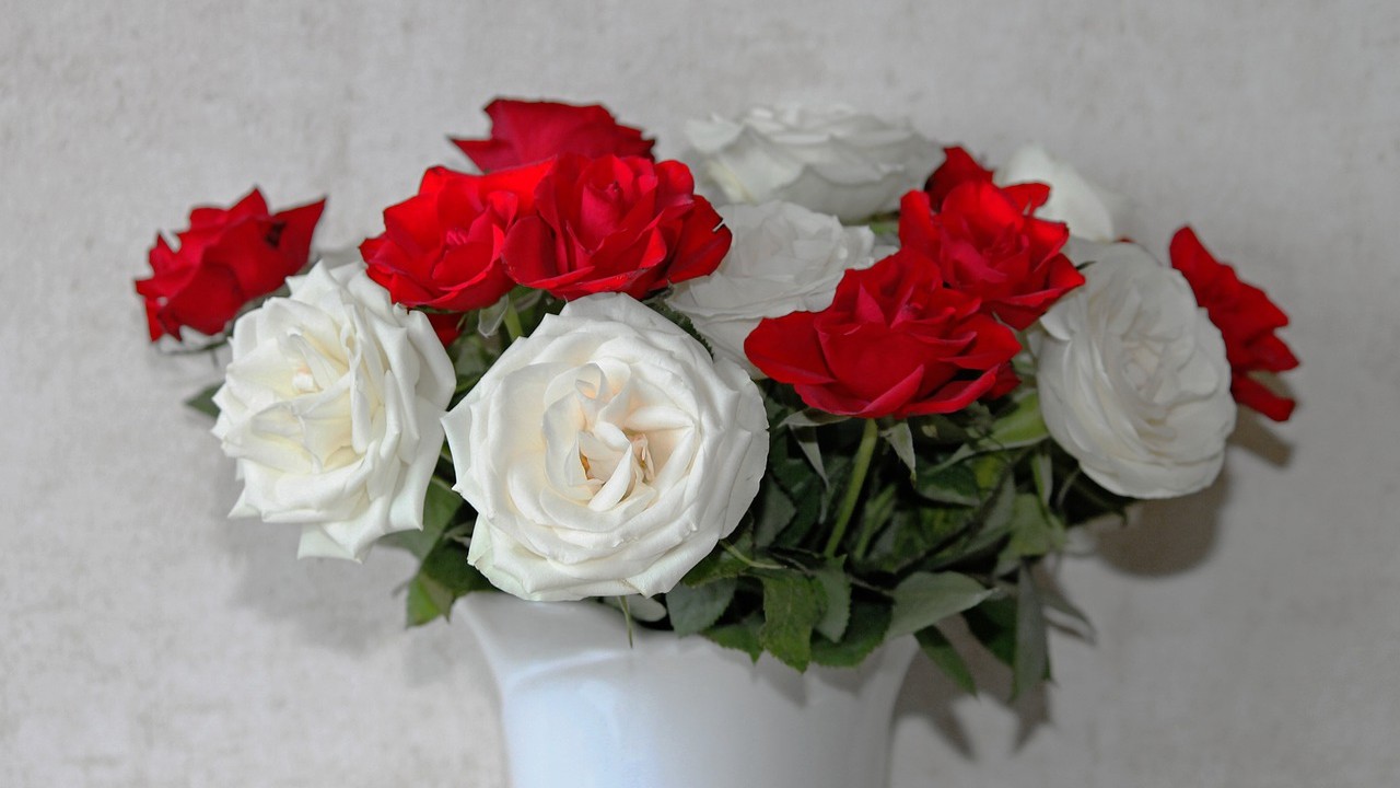 San Valentino, fiori dono preferito. Ma 1 italiano su 2 non regalerà niente