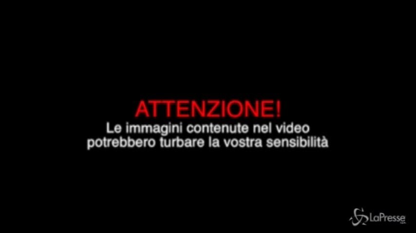 Roma, si butta da un cornicione, preso al volo da un poliziotto