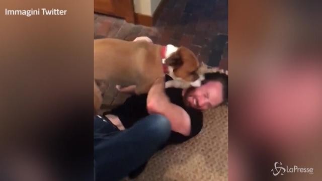 Chris Evans a casa dopo due mesi: la reazione del suo cane