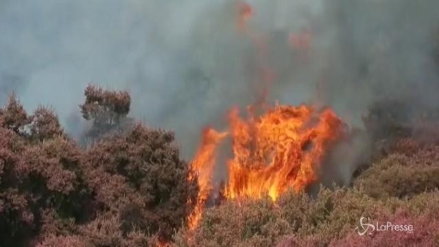 Grave incendio a Los Angeles: evacuate più di 700 case