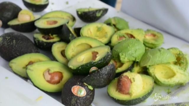 Jalisco: lo stato messicano Guinness dei primati per il guacamole