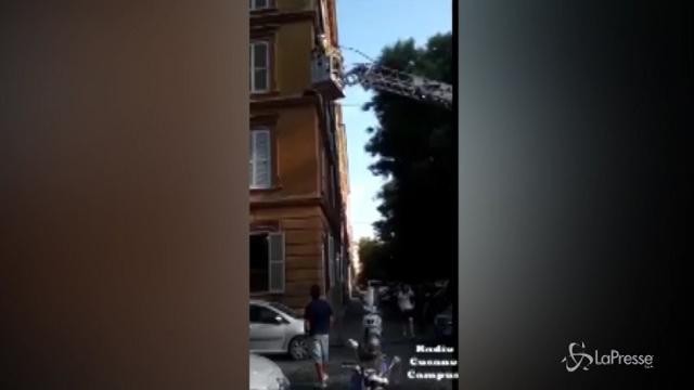 Roma, i vigili del fuoco salvano il gattino Nuvola