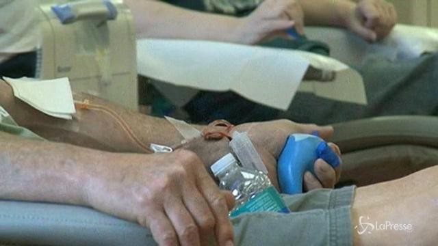Chikungunya, stop a donazione sangue a Roma