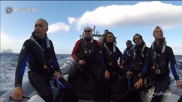 Alberto di Monaco in mare aperto per salvare le foche monache