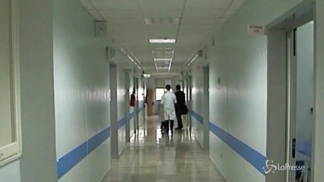 Chikungunya, nuovi casi in Emilia e Marche