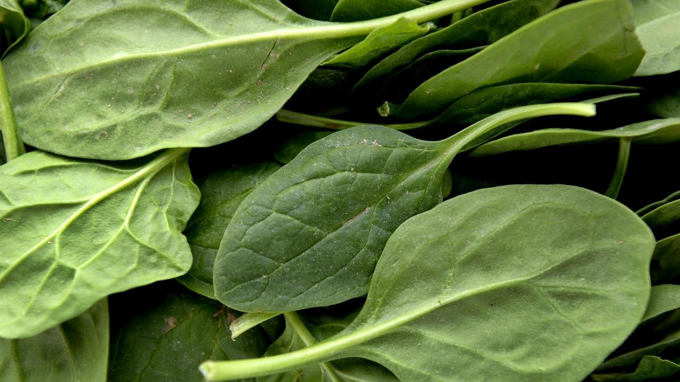Milano, spinaci surgelati allucinogeni: famiglia in ospedale