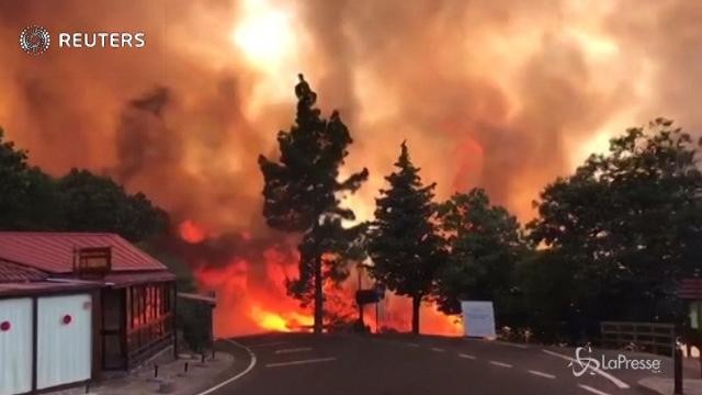 Le Canarie in fiamme, 800 persone evacuate