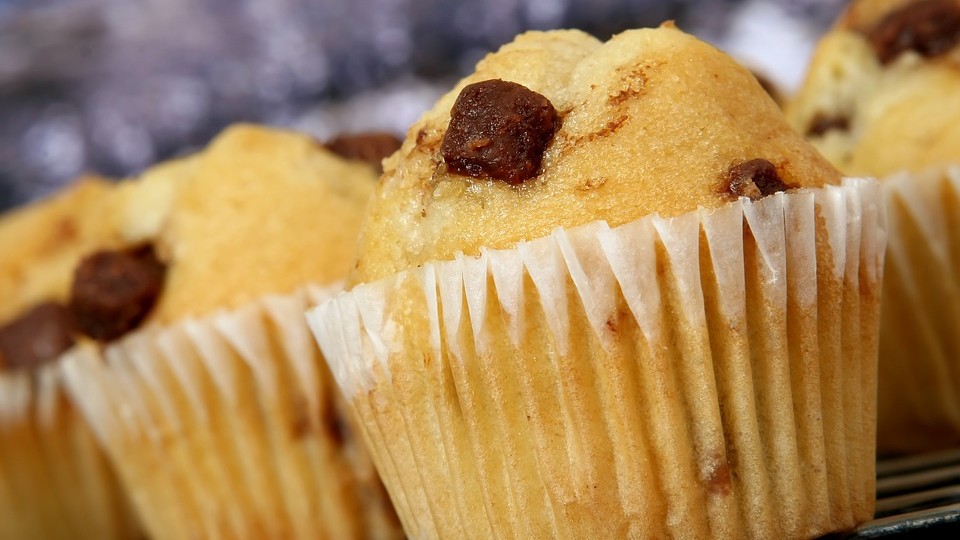 Obesity day, è ancora allarme: in Italia sovrappeso un bimbo su 3