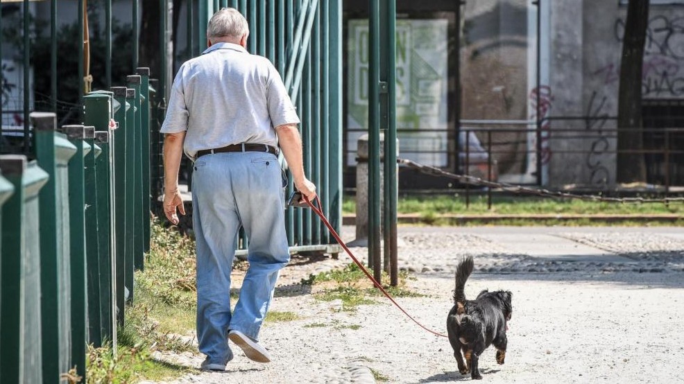 Napoli, finti agenti truffano anziani in tutta Italia: 12 arresti
