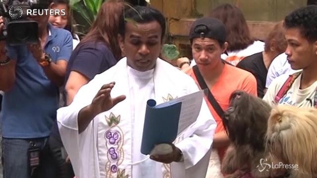 Manila: prete cattolico benedice gli animali
