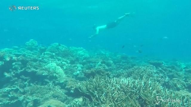 VIDEO Maldive, la campagna per l’ambiente di Nikolaj Coster-Waldau