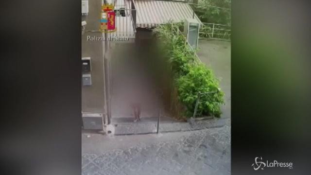 VIDEO Minorenni costretti a prostituirsi dal padre
