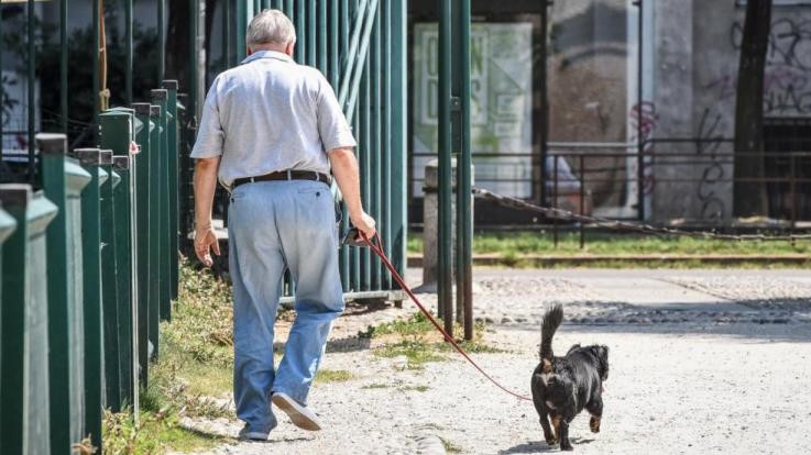 L’Ocse lancia l’allarme: “Italia sempre più vecchia, agisca ora contro le disparità”