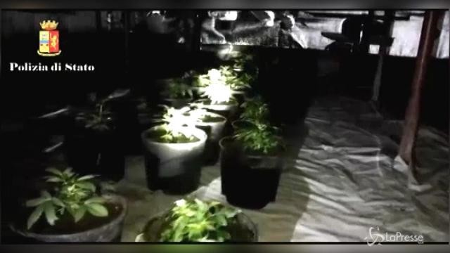 Coltivava marijuana nella serra sottoterra: arrestato