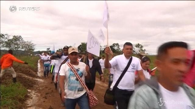 In Colombia le piantagioni di coca ostacolano la pace tra Stato e Farc