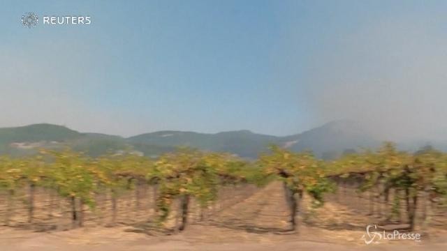 California, il fumo sulla contea di Sonoma