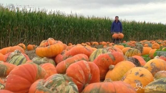 Regno Unito, tutto pronto per Halloween