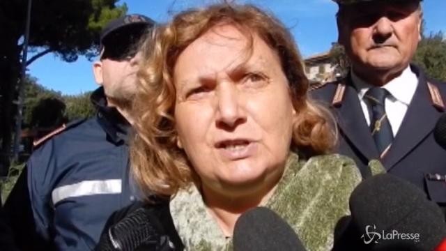 Alberi a Roma, Montanari: “Recuperiamo 10 anni d’incuria”