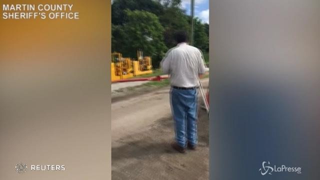 Florida, alligatore di un metro e mezzo nel condotto fognario