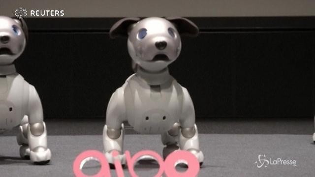 In Giappone arriva “Aibo”, il cane robot