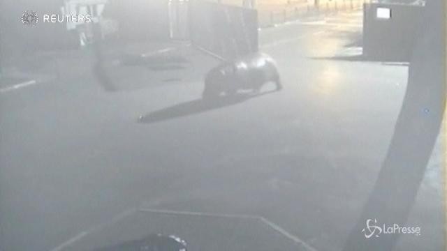 Un ippopotamo in fuga