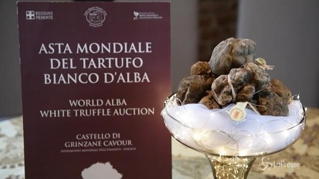 A Hong Kong il lotto più bello dell’asta mondiale del tartufo di Alba
