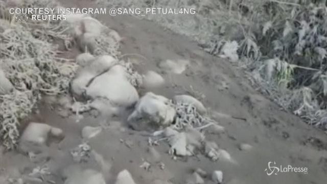 Bali: le ceneri coprono il vulcano Agung