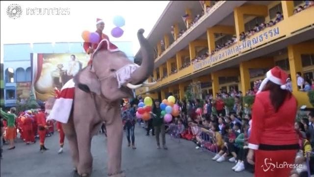 In Thailandia Babbo Natale viaggia sugli elefanti